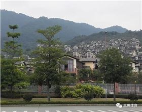 焦点娱乐2019迎新年会圆满落幕