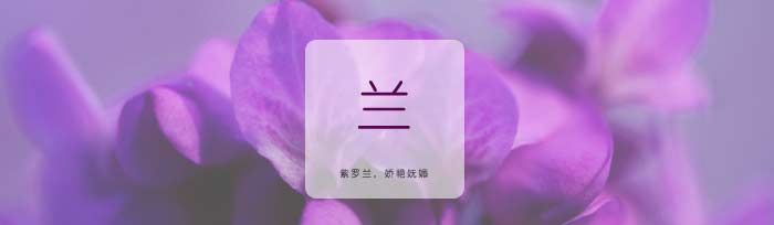 绿色焦点娱乐短袖T恤