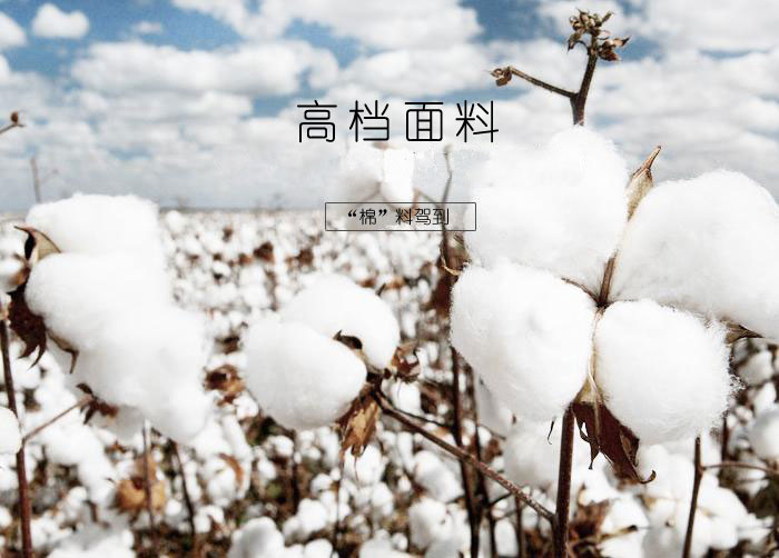 焦点娱乐短袖T恤订做使用的面料