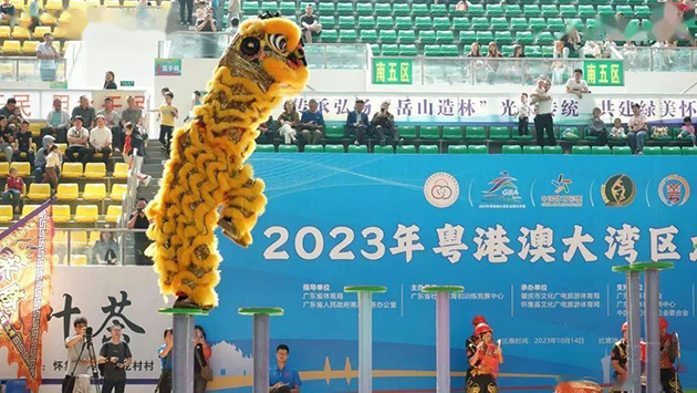 2023年粤港澳大湾区龙狮公开赛 图7
