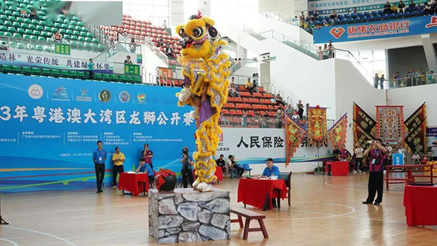 2023年粤港澳大湾区龙狮公开赛 图8