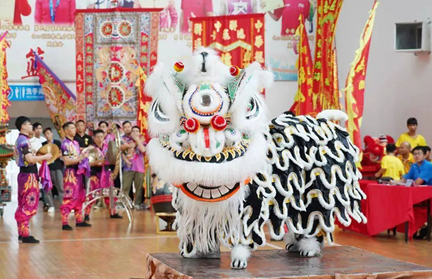 2023年粤港澳大湾区龙狮公开赛 图10